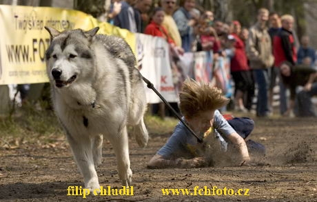 Polsko 2005 - 384.jpg